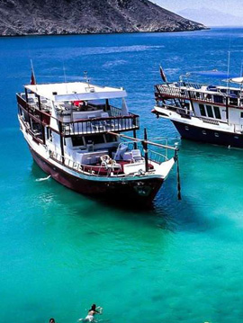 SUN AND SAND MUSANDAM (MUSANDAM SEA SAFARI)